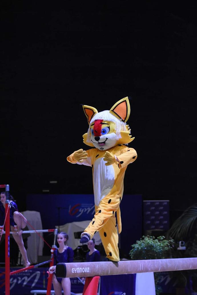 Mascotte de gymnastique au zénith de rouen